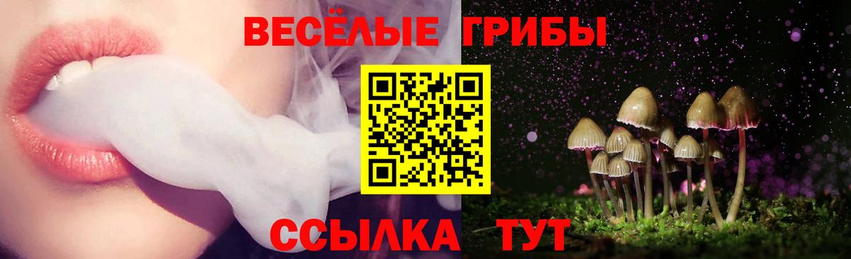 Галлюциногенные грибы GOLDEN TEACHER Тосно